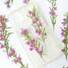 Decorative Flowers 5-12cm/12pcs Real Pressed Flower Branches DIY Bookmark Phone Case Decal Leaf Material Plant Specimen Drip Gule