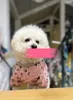 Avancerade husdjurskläder tröja våren och sommaren nya presbyopiska modemärke vit pulver fet hund neddy schnauzer neddy