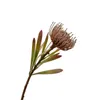 Fleurs décoratives MBF Plastique Fleur artificielle Leucospermum Mariage Décoration Affichage Cordifolium Pin Cushion de haute qualité
