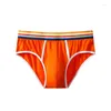 Underpants di grandi dimensioni maschile maschili Cotone Rainbow Brief sexy traspiranti UNAVERA GIOVANI