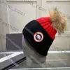 Designer Knitted Hat Ins Popular Canada Winter Hats Letter Goose Pom Beanie Warm Wool Caps Winter Skiing Outdoor Cold Protection 7 Colos 303