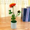 Decorative Flowers High Faux Greenery Artificial Potted Flower Plants For Home Decor Colorful Bonsai Ornaments Room Bedroom Garden Low