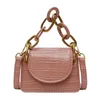 Sacchetti di borse a traverse in pietra per donne spalla a catena spessa spalla semplice signora mini tote rossetto borsette femminile