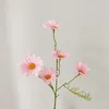 Декоративные цветы маленькие ромашки ромаш