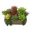 Flores decorativas Plantas suculentas mixtas artificiales en la caja de madera marrón Ramas de vegetación falsa Tabla de decoración de la planta A Planta A