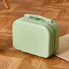 Suitcases 2023 Small suitcase 14inch portable cosmetic case largecapacity wash bag portable storage organizer