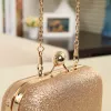 Taschen Frau Abendtasche Kleine Mini -Ketten -Schulter -Handtasche Crossbody Gold Clutch Slunger Taschen für Party Abschlusshochzeit Tag Clutches Geldbörsen