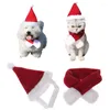 Hondenkleding Rode huisdieren Caps Cocked Hat -accessoires voor Cat en