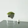 Wazony szklany pączek mały dla centralnych kwiatów wazonów luzem rustykalne dekoracje stołu domowego