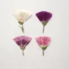 Decorative Flowers 3.5-5cm/24pcs Nature Godetia Amoena Side Pressed Flower Petals DIY Drip Glue Phone Case Plant Po Frame Face Makeup