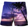 Heren shorts Hawaii Summer Beach Shorts Men Casual Tropics Board Shorts 3D Gedrukt zwempak Homme 2023 Ropa Fashion Holiday Surf Surf Trunks T240419