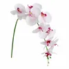 Kwiaty dekoracyjne Faux Butterfly Orchid 1 PC Real Double Branch Silk na ślub domowy przyjęcie El Yard Wildflower Garland