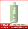 Piloto piloto vapes descartáveis soff 20000 25000 28 ml de cigarros eletrônicos suco de suco carrinhos preenchidos bobina de malha 650mAh Barra de bateria 2% 3% 5% de romã uva 10 sabores de frutas