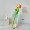 Blues Color Acrylic Vase Fantasy Decorative Ornament Modern Home Decoration Crafts Pink Blue Contrast Color Transparent Vase 240415