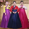 Etniska kläder traditionella koreanska kläder hanbok klänning för kvinnor forntida palats mantel v-hals nationell prestanda kimono yukata asien stil d240419