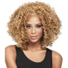 human curly wigs Fashion chemical fiber high temperature silk small curl explosive head hair female wig full head cover