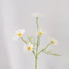 Декоративные цветы маленькие ромашки ромаш