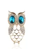 Wholeoch Designer Brooches Jewelry Fashion Crystal Pins и жемчужные броши для мужчин и женщин моделируют Ne96833811299