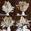 Decoratieve bloemen Palmbladeren Gedroogde planten Reed Wedding Arrangement Decoraties Natuurlijk Pampas Grass Fan Home Party Room Decor