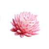 Kwiaty dekoracyjne Yomdid 5pcs Piękne sztuczne soczyste rośliny Lotus Krajobraz Kwiat mini fałszywe sukulenty dekoracja ogrodu roślin