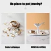 Sacs de rangement Plateau de bijoux pour oiseaux PP et ABS Affiche Affiche Cas pour Boucles Collier Ring Bracelet Pendant