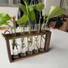 Vasos Vintage pendurados plantadores transparentes Terrário de plantas em forma de tubo para plantas hidropônicas domésticas