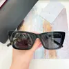 Designer Femmes Cat Eye Sunglasses Acetate Frame Cat Eye Luxury Luxury Outdoor Sunglasses Luxury Lady Party Place Sunglasses Internet Célébrité des mêmes verres de style SL276