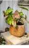 Vases Rattan-like Cement Flower Pot Personalized Plant Decorative Flowerpot Set Balcony Garden Basin