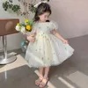 Sukienki dziewczynki 1-6t Dziewczyny Dziewczyny Letnia sukienka Puff Short Rleeve Flower Mesh Sukienka Princess Party Party Wedding Elegancki mecz Vestidos D240423