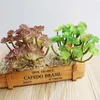 Dekorative Blumen Künstliche Pflanzen simulieren saftige Kaktus DIY kleine grüne Pflanze Hausgartendekoration FZ119