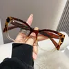 Cat Eye Glasses Optical Frame Women Blue Light Blocking Eyeglasses Brand Designer Spectacles Computer Eye Protection Y240410