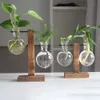 Creative Glass Desktop Planter Bulb Vase Wooden Stand Hydroponic Plant Container Home Tabletop Decor Vases 240408