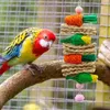 Autres fournitures d'oiseau Parrot Toys Biting Moite des carottes tressées naturelles avec un jouet de divertissement en os de seiche en pierre molaire