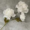 Декоративные цветы 70 см. Искусственный качино пиони букет гостиная дома