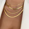 Titanium Snake Flat Explosive Bone Women s Short Necklace Stainless Steel Gold Blade Chain Neckchain Neutral Accessories Stainle Acceorie