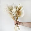 Dekorativa blommor Söt torkad babybreath Bukett för rum Dekor Cake Palm Leave Nature Reed Wedding Floral Arrangemang