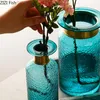 Vases Relief moderne Transparent Vase Vase Ornements de salon Arrangement floral Hydroponic Plant Blue Home Decoration