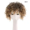 human curly wigs Wig hair patch for women with explosive heads short curly hair for black people covering the hairline on the top the head wig hair patch for women