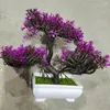 Fiori decorativi ornamenti di pinoli piccoli pianta finta in vaso in vaso artificiale tavolo decorazione bonsai