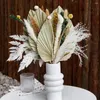 Decoratieve bloemen Palmbladeren Gedroogde planten Reed Wedding Arrangement Decoraties Natuurlijk Pampas Grass Fan Home Party Room Decor