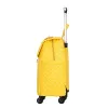 Sac à bagages à bagages Saclage de bagages pour cabine Femelle Travel Sac Imperméable Transport sur sac à main les valises sur roues