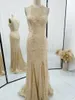 Party Dresses Champagne Color Slim Performance Host Long KirtMermaidThin Evening Dress M1188