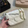 Pesigner Bags Women Hall Borse Borse Ballo Messenger Borse Metallic Borse metalliche classiche regalo all'ingrosso adatto per lo shopping Gathering Travel Party 2024