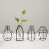 Vases Meubles Affichage Vase Flower Tester Tube Transparent Verre Transparent Simple Fer Whited Fer Decorative