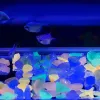 Aquariums 10/50pcs Kolorowe świetliste rozgwiazdy konch w kształcie świecących kamieni dekoracyjnych do ogrodowego akwarium basenu akwarium basenu