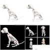 Decoração de festa Halloween Skeleton Dog Prop Ossos de animais de animais Horror SKL Props Y201006 Drop Deliver