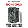 Kamery HC810PRO 4K Live Fototrappola Suntek Trail Camera Cloud Service Aplikacja 4G Kamera polowa