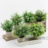 Plantes en pot artificielles eucalyptus rosemary bourse mini plante verte pour le bureau à domicile décoration de salle d'étude bonhonsaï 240407