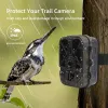 Cameras Suntekcam Wildlife Trail Caméras 50MP 4K IP65 Caméra de chasse HC940A 10 * AA Batterie Vision n °