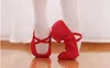 Dance Shoes Shoelaces And Soft Soled Canvas Teacher Belly Form Etiquette Training Adult Ballet